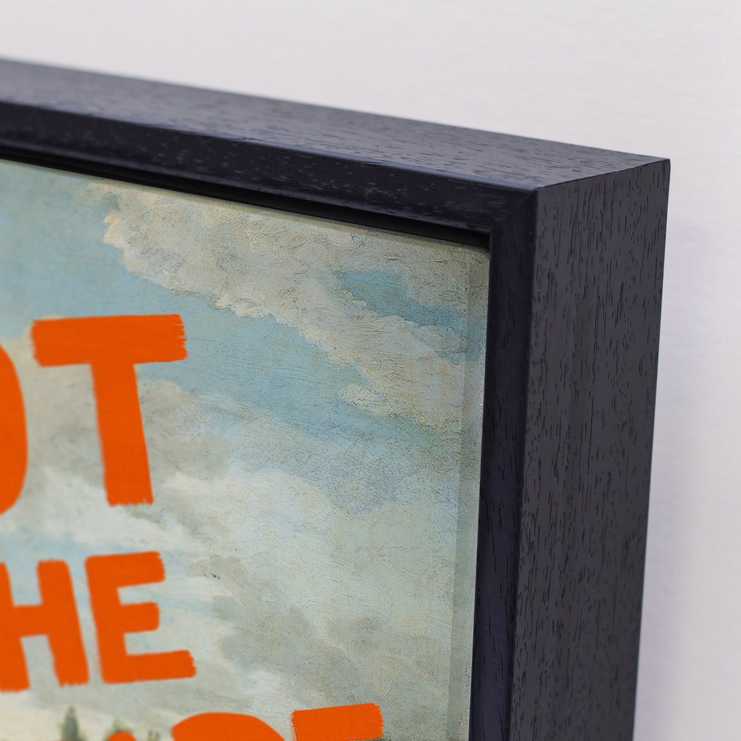 Blot on the Landscape Canvas Print